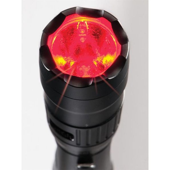 Afbeelding - 6008411-2-jpg